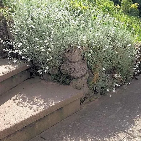 Haslachmuehle Salisburgo