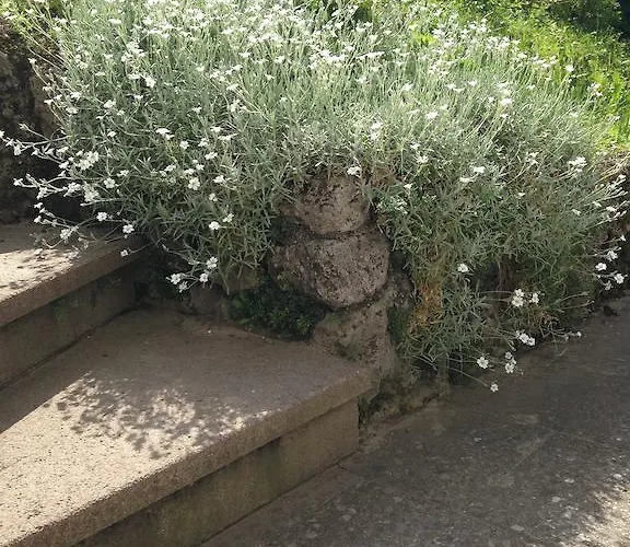 디 하스라허뮐레 잘츠부르크