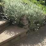 Haslachmuehle Salzburg
