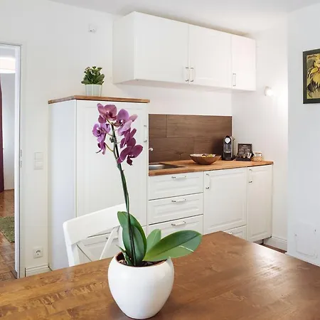 住宿加早餐酒店 戴尔哈斯莱彻摩尔酒店