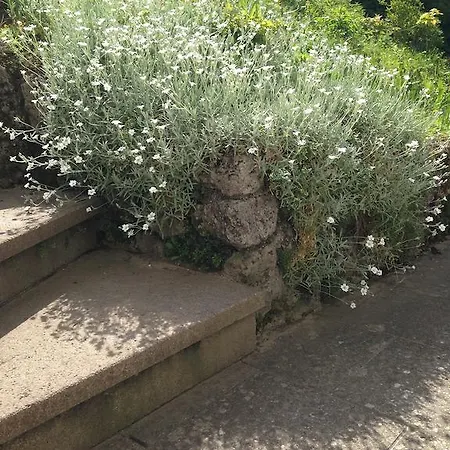 Haslachmuehle Salzburg